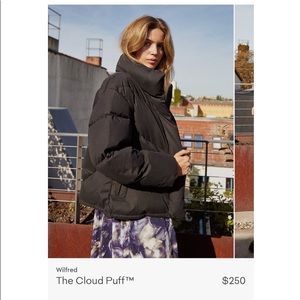 Aritzia Wilfred Cloud Puff Jacket
